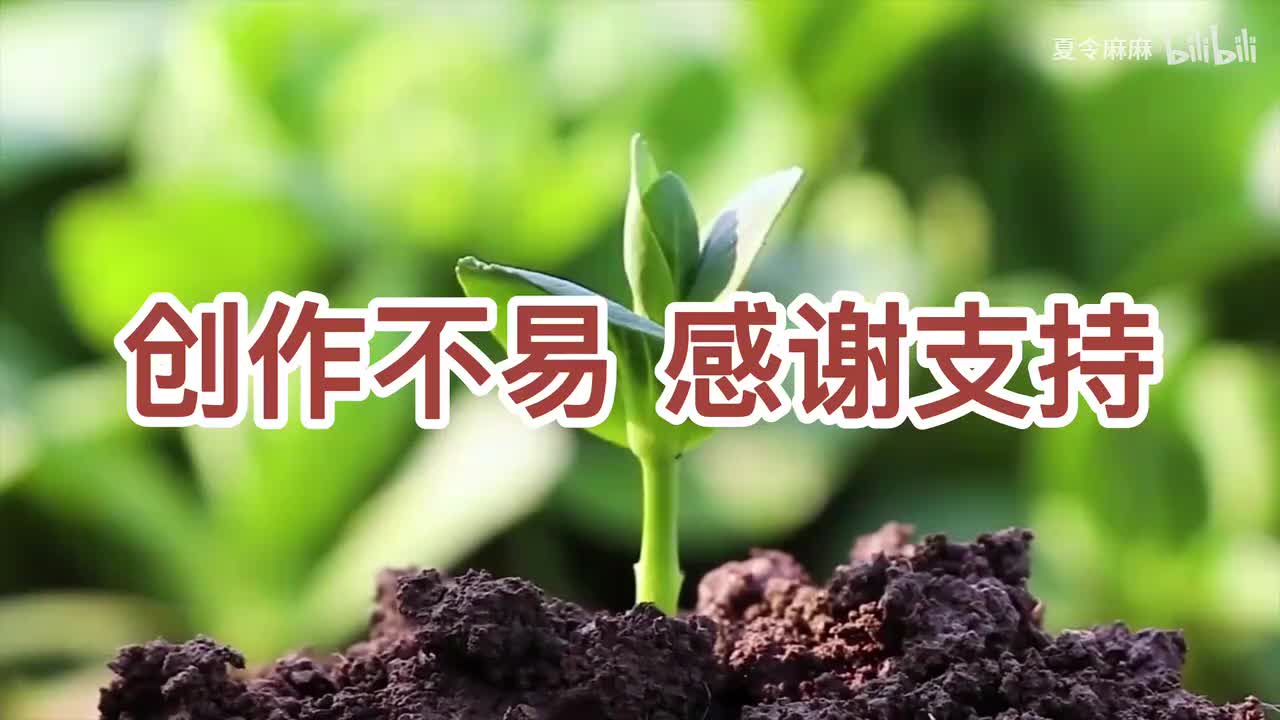 感谢关注！