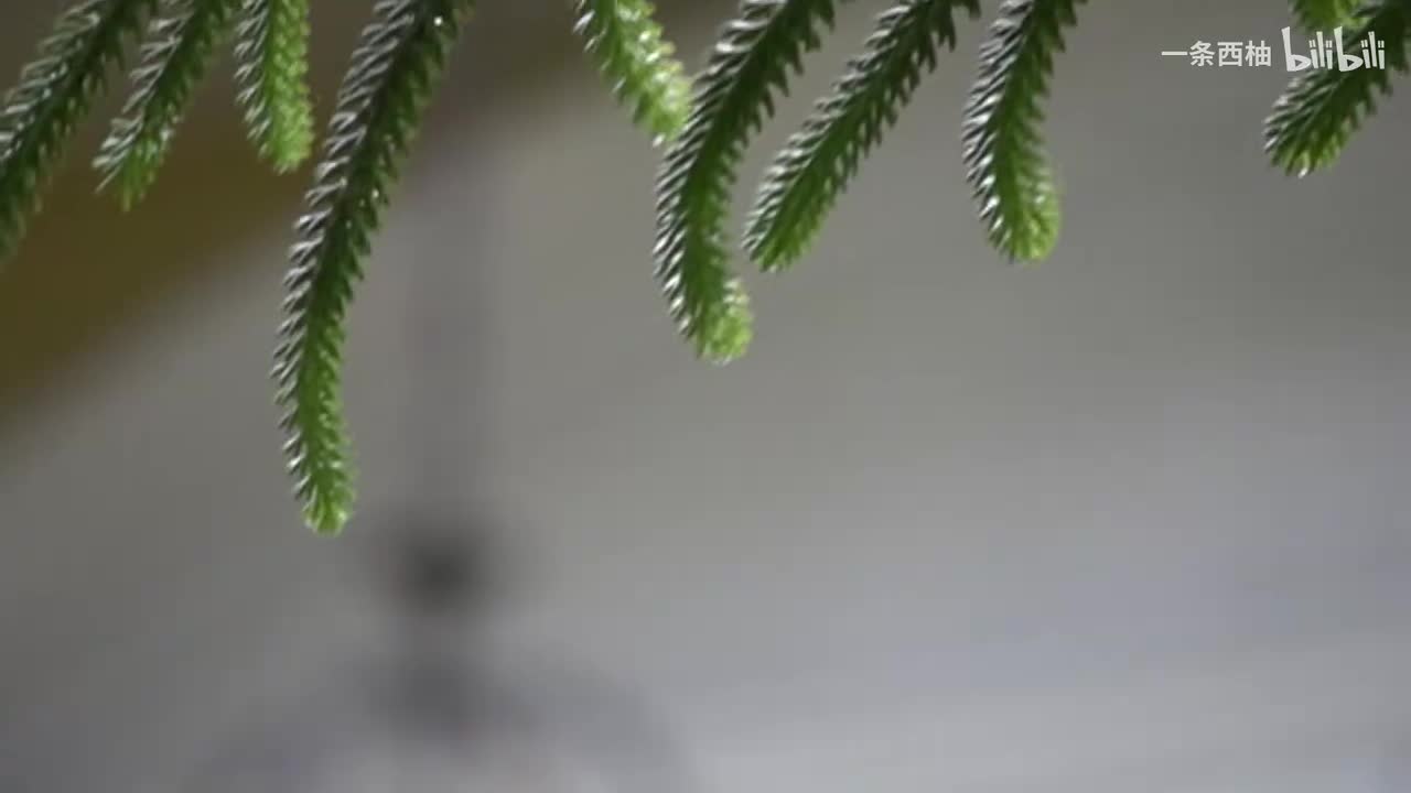 雨中氛围感 (65)