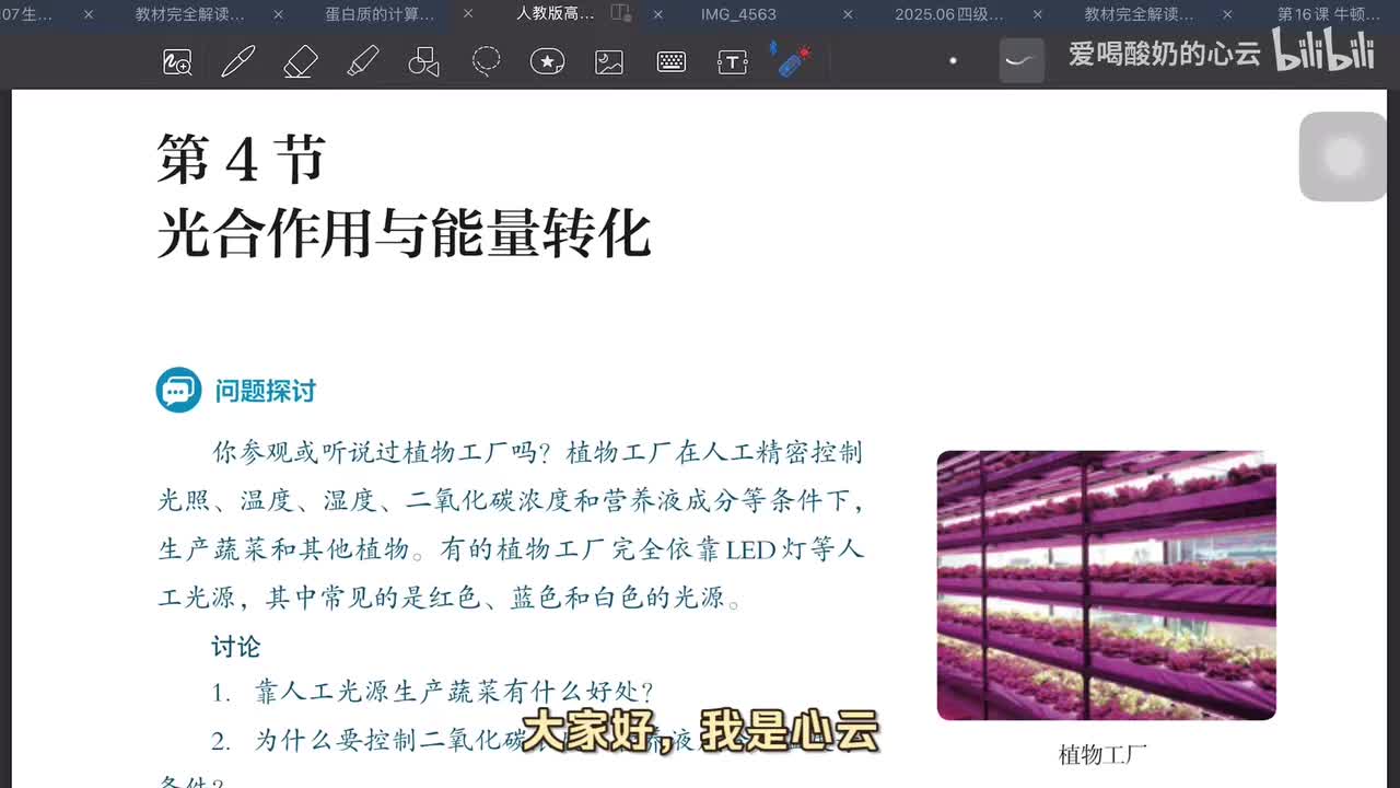 5.4 光合作用（第二课时）