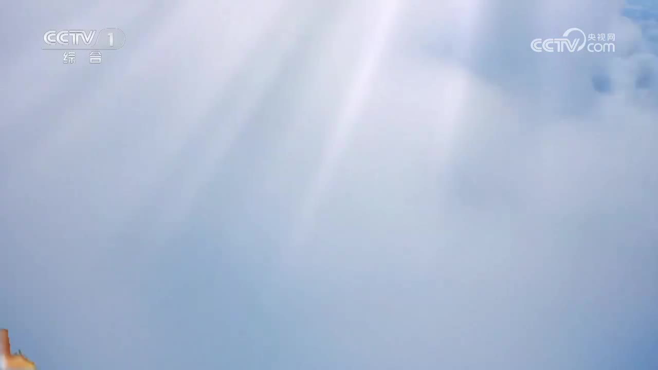 礼之美