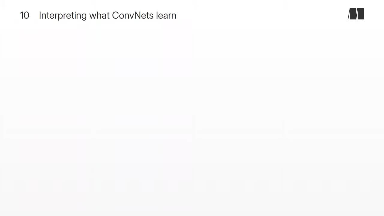 055. Chapter 10. Interpreting what ConvNets learn