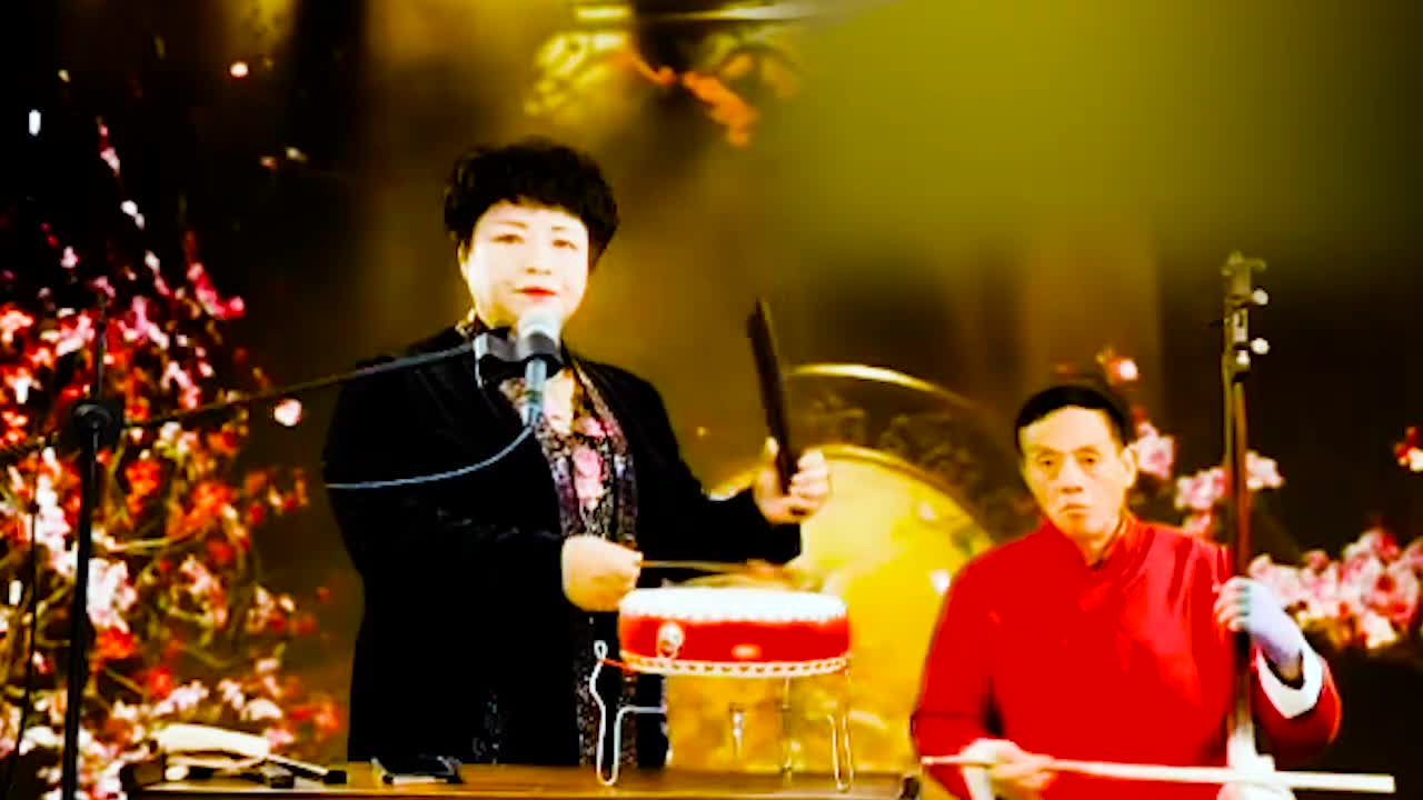 河南坠子 · 《呼家将》肖计英（40）