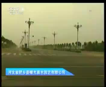 曙光园艺 2012.8.24