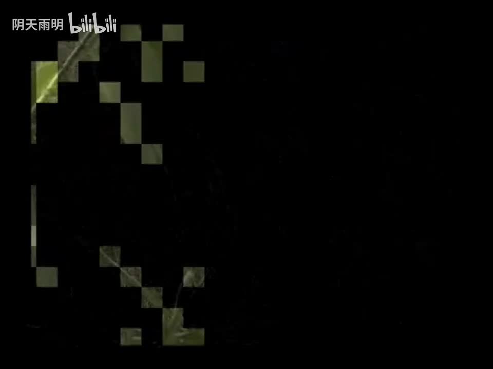 柳琴戏《老来难 千里寻子》01 姚秀云 姬光荣 李兴亚 张晓侠 陈甲