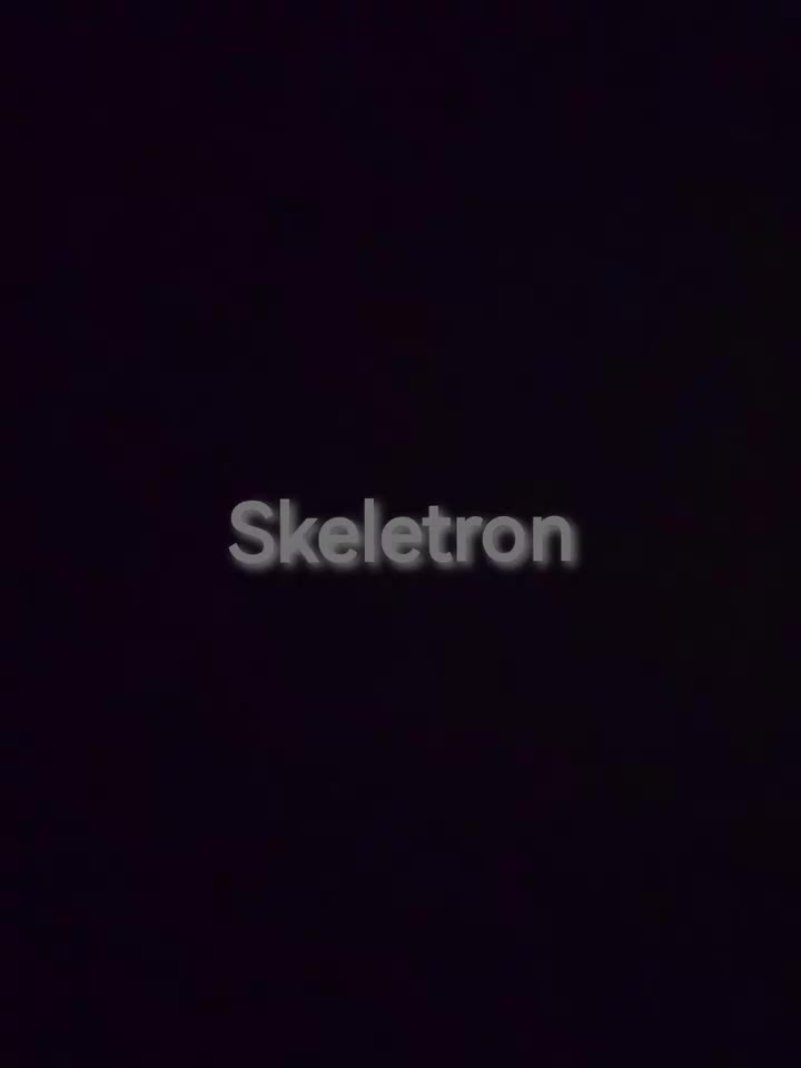 泰拉瑞亚1.4.5版本 骷髅王--Skeletron（骷髅王）