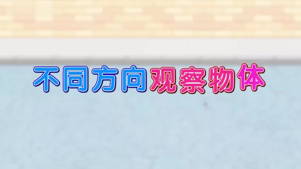 四年级下册5、第五讲_不同方向观察物体