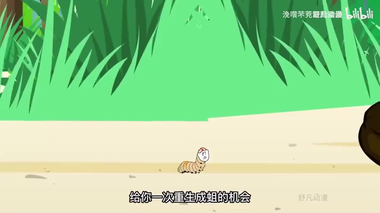 【从蛆开始进化成神】