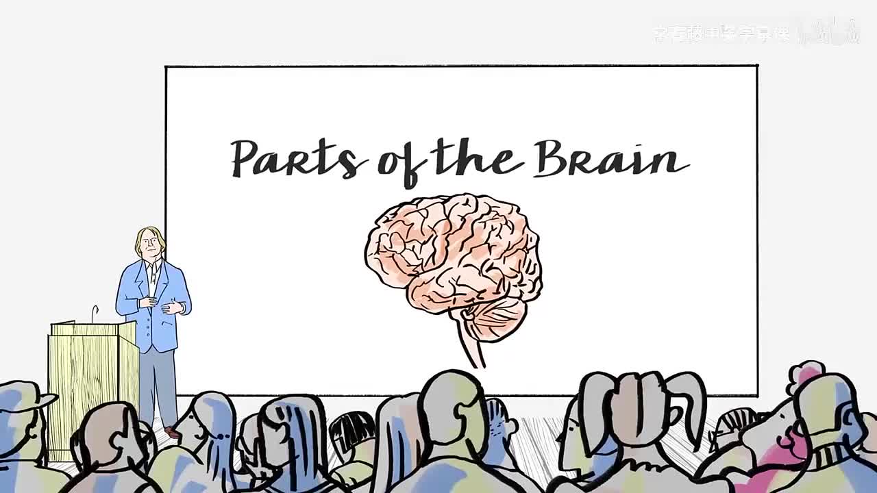 2_01_04_大脑的组成部分