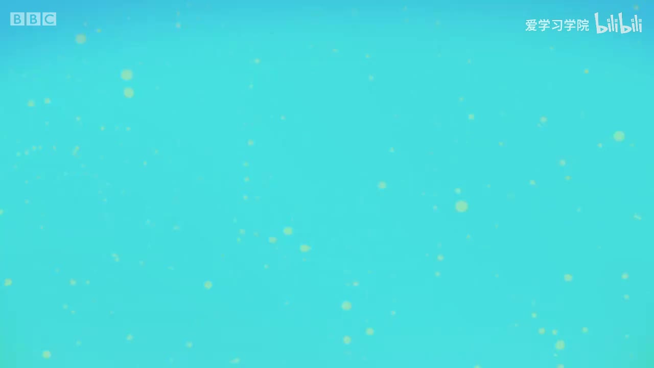 第2季AB.S02E04