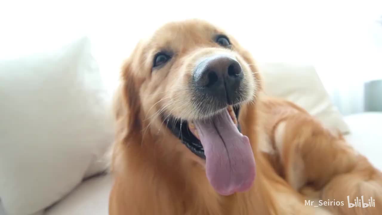 请移步至正片一P