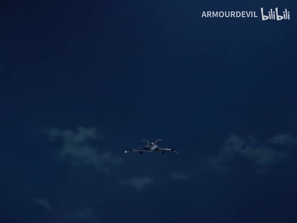 26.离奇！杀人甲虫事件