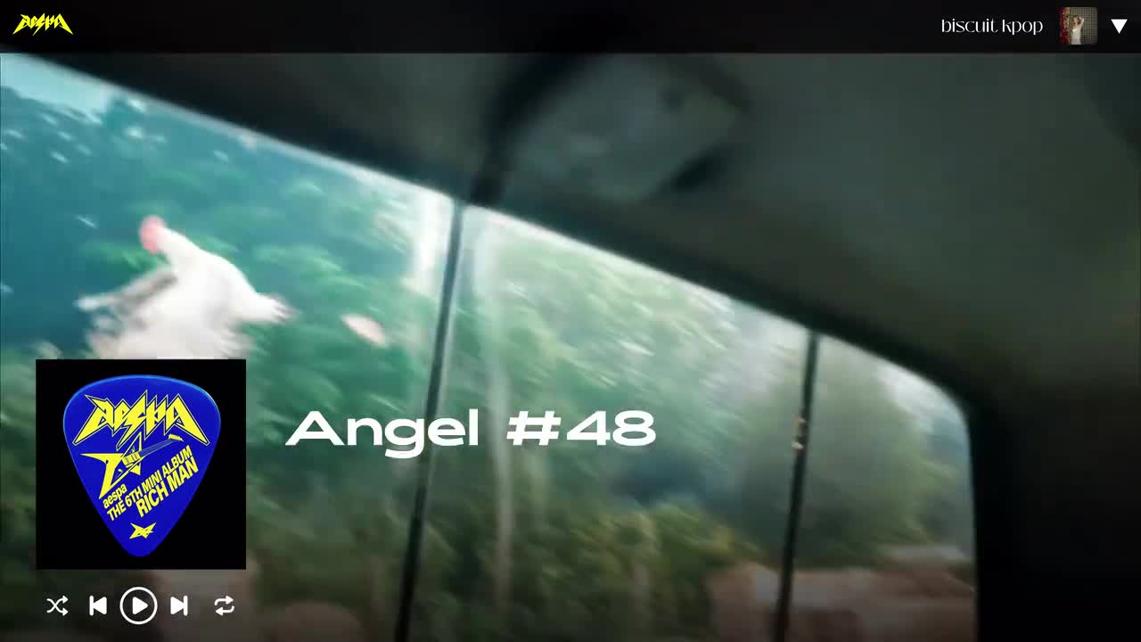 Angel #48