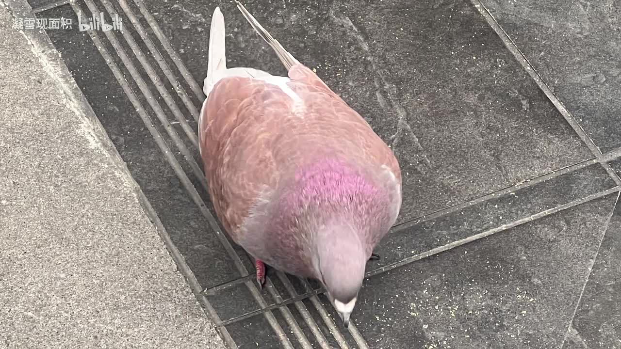 东日本桥（地铁）