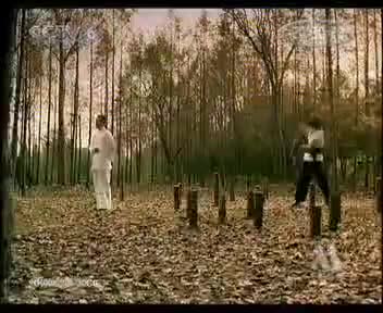 tvcimage.meihua.infompeg20100228113107_C76E.mp4