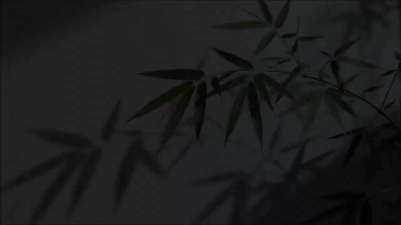 魅族 22 5G 月白天青广告