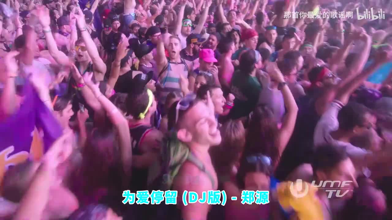 040. 为爱停留 (DJ版) - 郑源