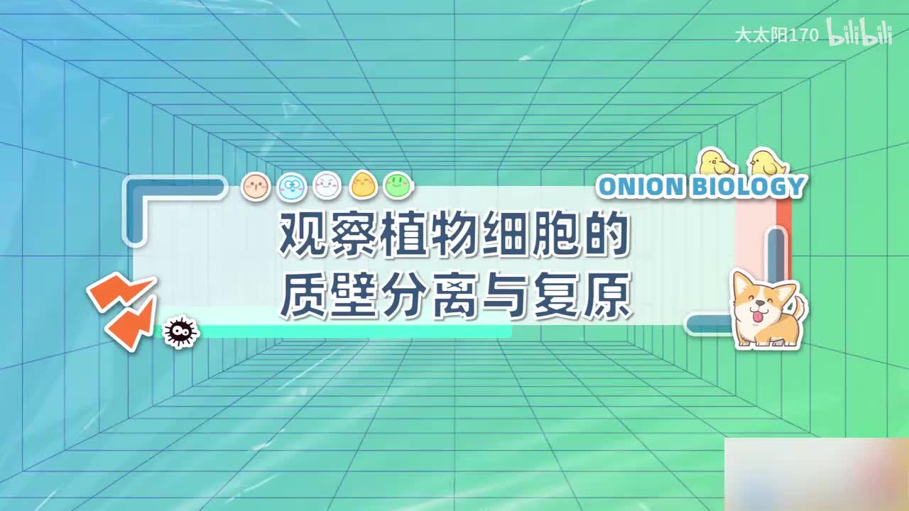 030.【同步课预告】P03观察植物细胞的质壁分离与复原.mp4