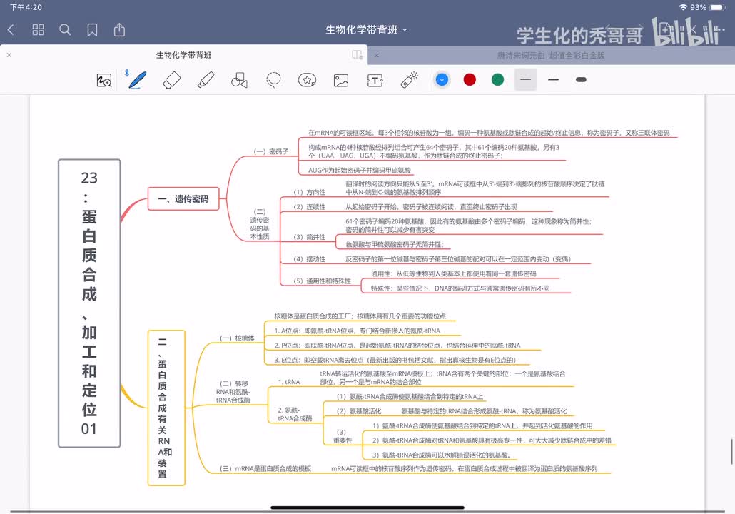 23：蛋白质合成、加工和定位01
