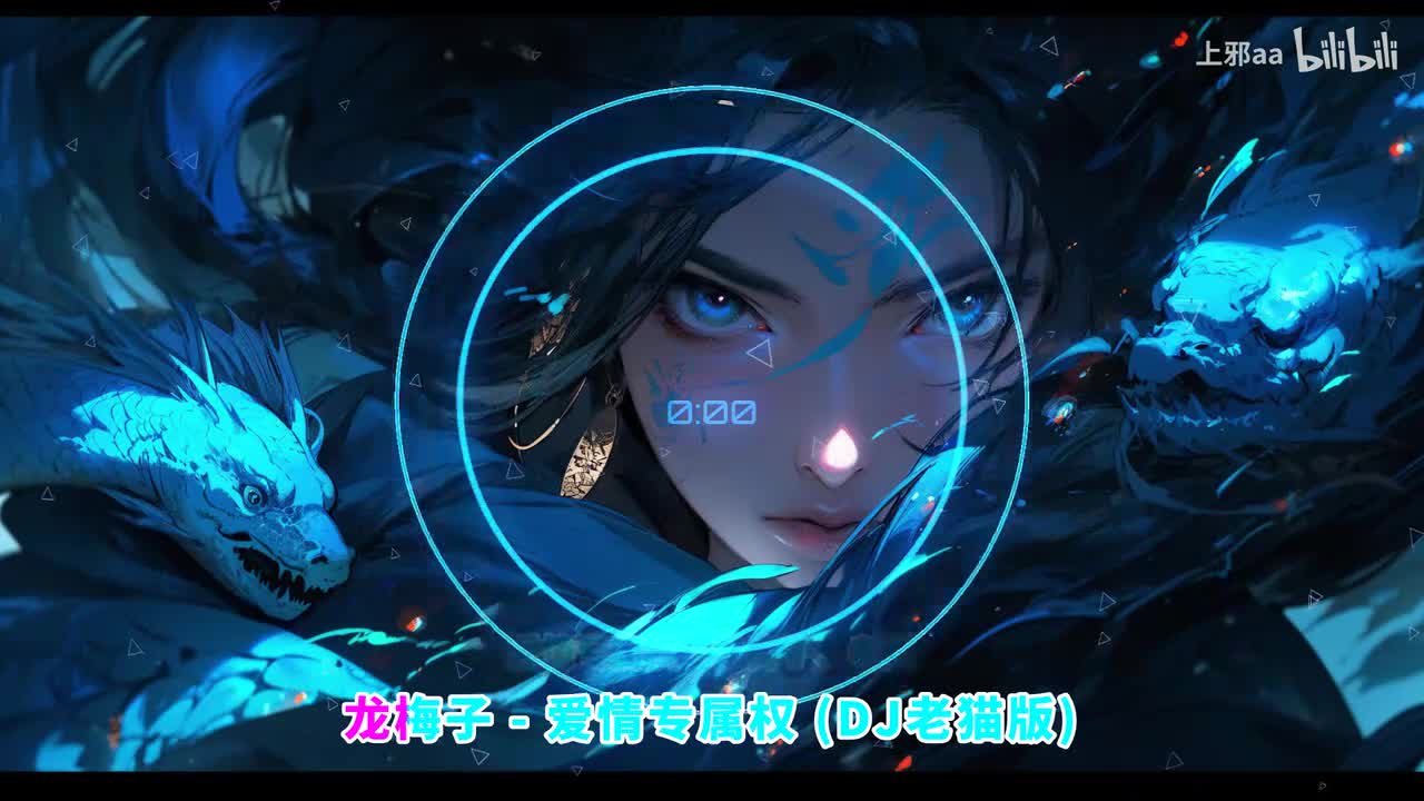 094. 爱情专属权 (DJ版) - 龙梅子、老猫