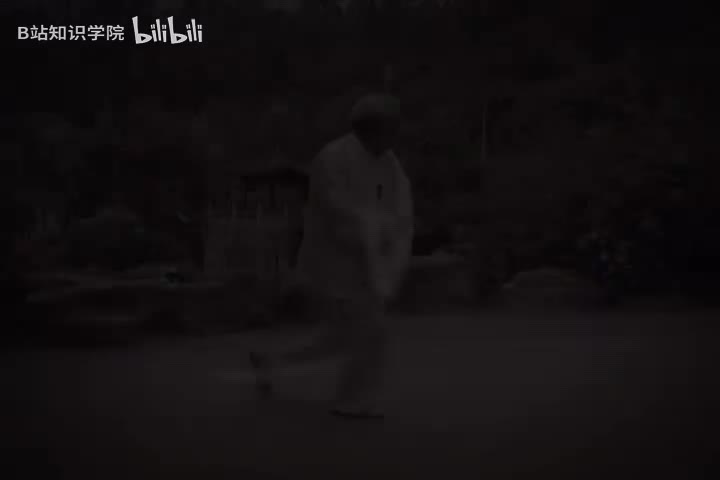 杨式太极拳85式教学4