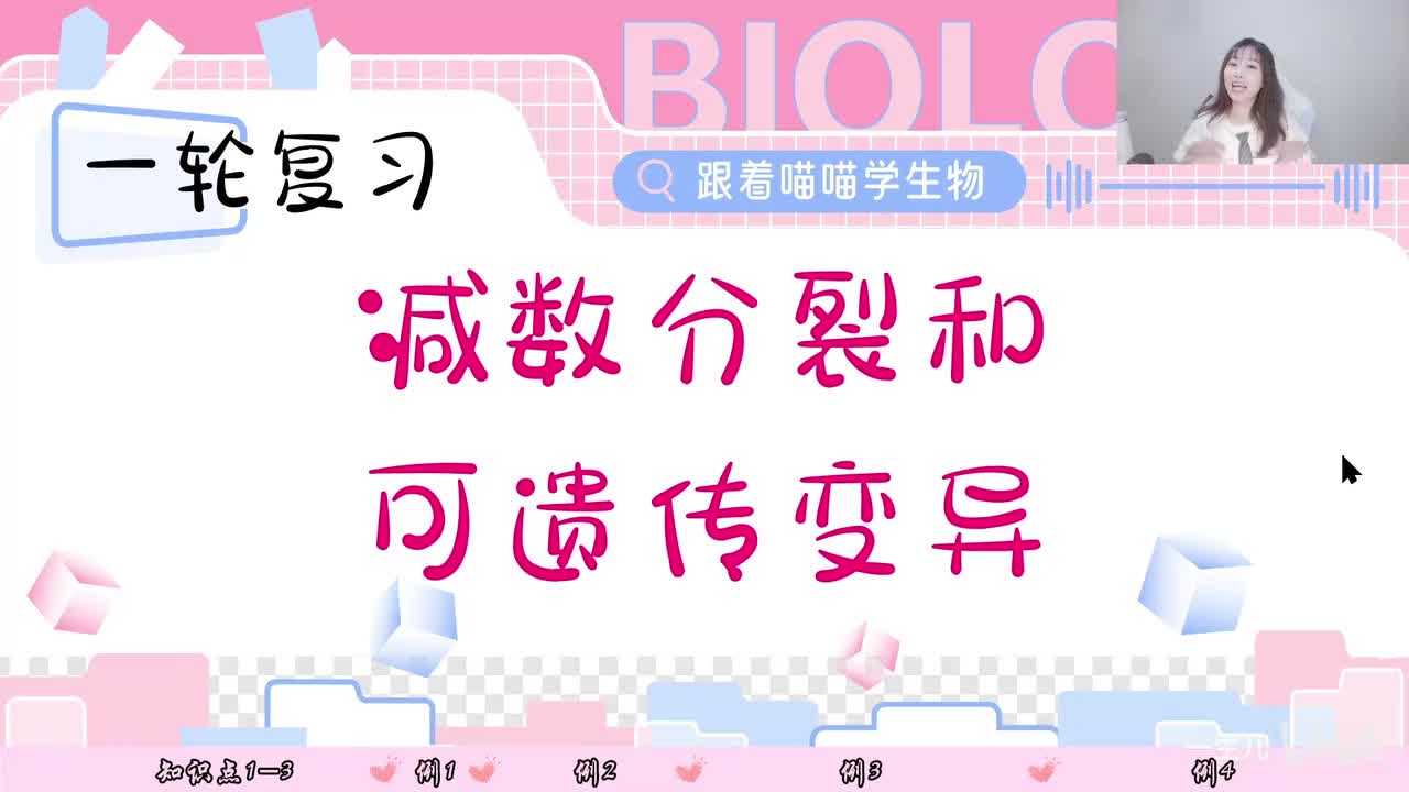 难点透析 减数分裂和可遗传变异