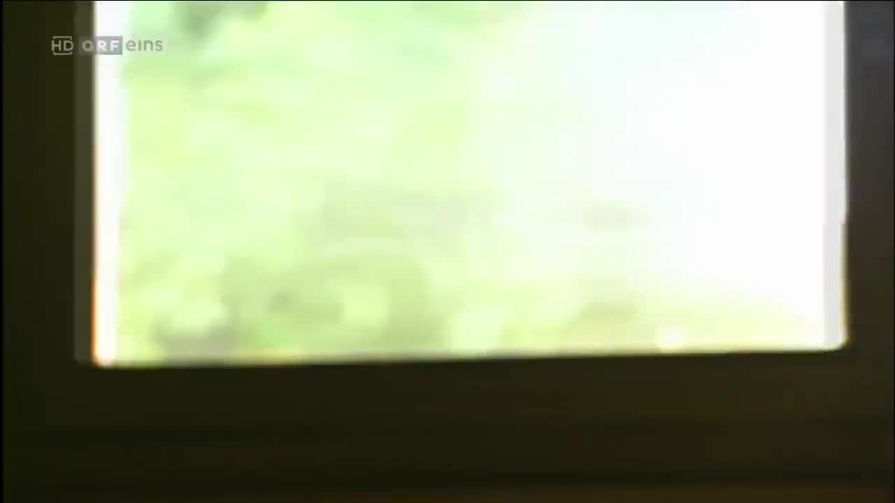 Türkisch für Anfänger (Season 2 Episode 9) Watch German TV series (German Subtit