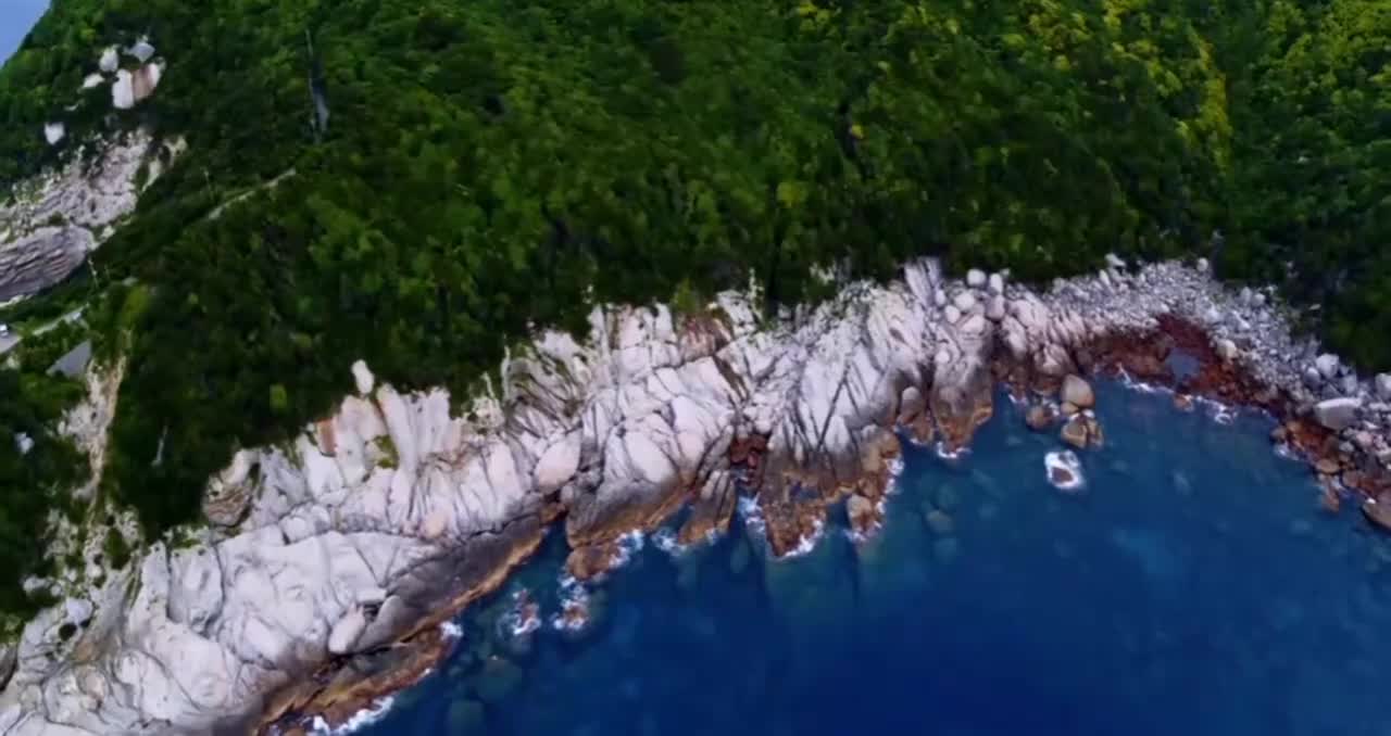 10.史纲选择题技巧1