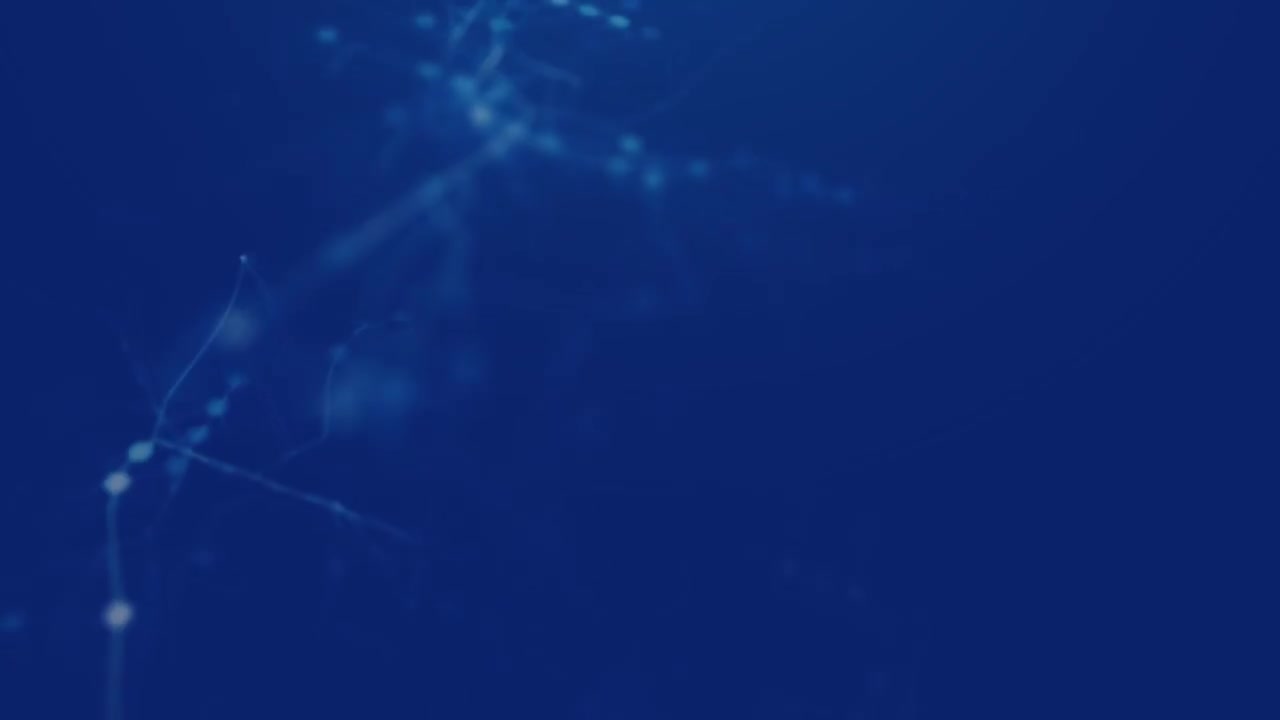 25 企业案例-车辆仅通过起动辅助装置起动