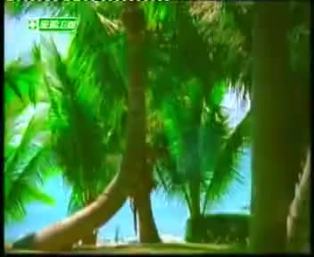 tvcimage.meihua.infompeg20100222112528_1D27.mp4