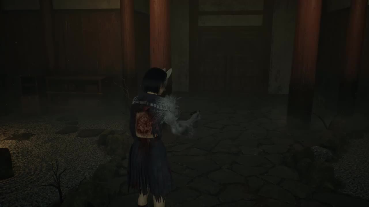 12-狐狸婚礼，白无垢诞生