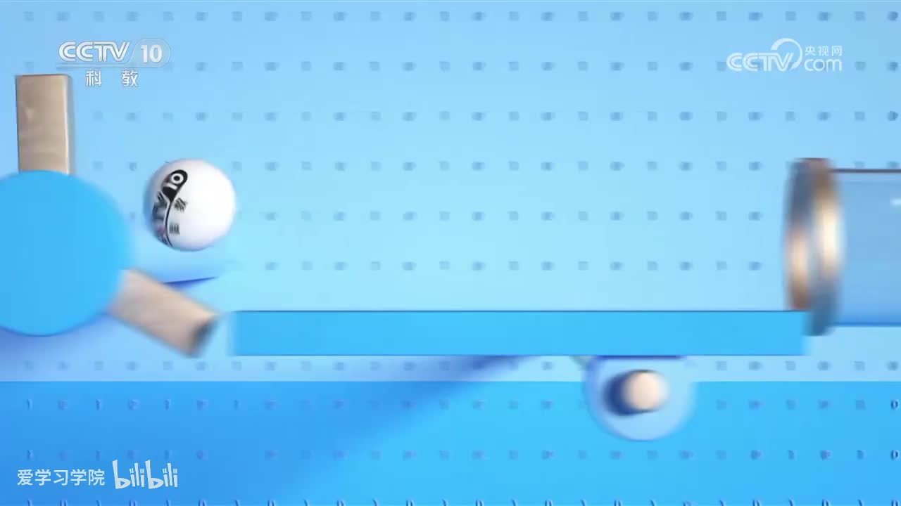 《跟着书本去旅行》20230407 动物邻居——相揖而别（下）