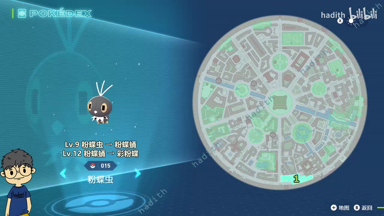 015-017 粉蝶虫、粉蝶蛹、菜粉蝶