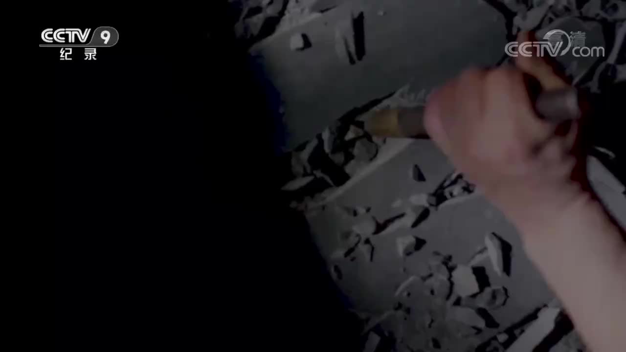 【第三集】虎穴忠魂