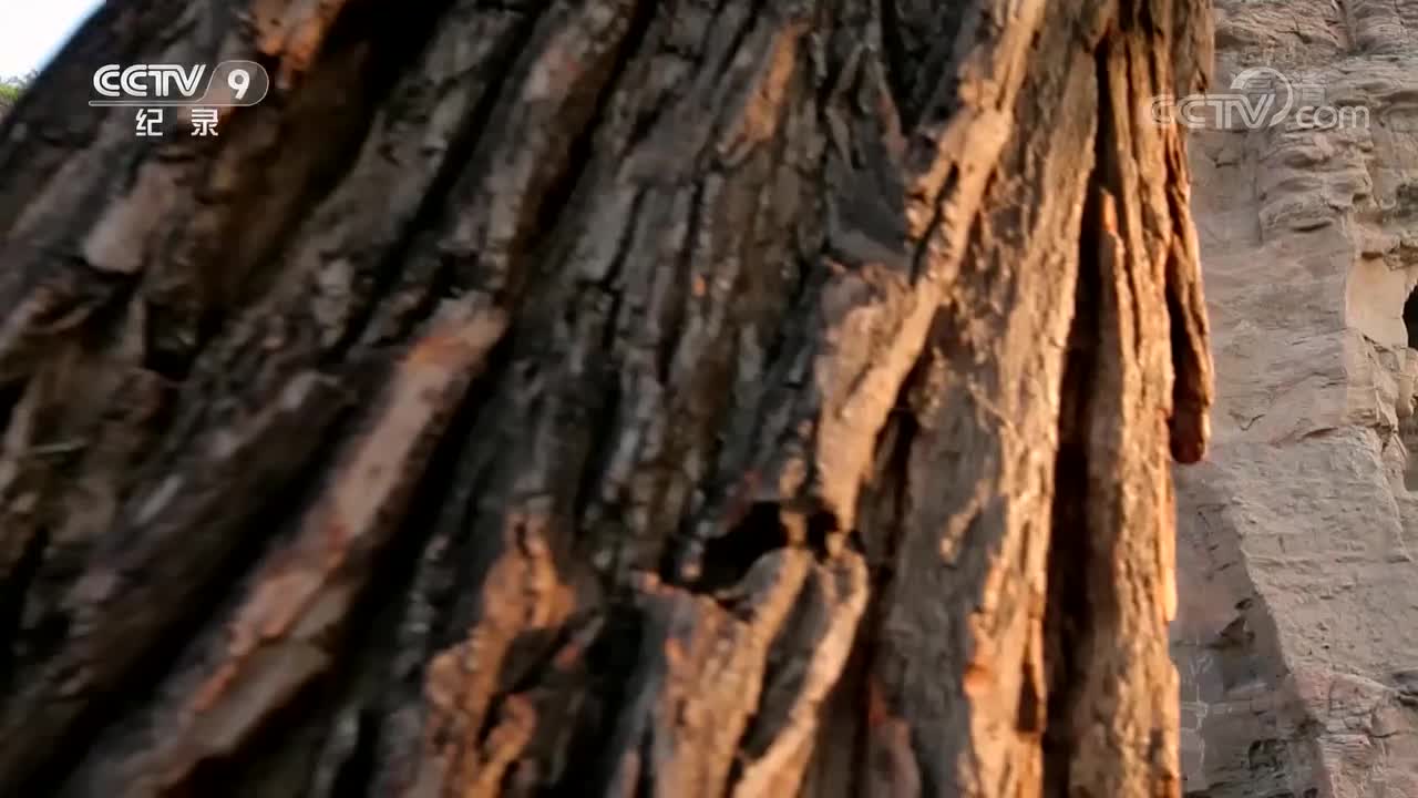 【第二集】开启圣境