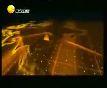 tvcimage.meihua.infompeg20100222112457_CE94.mp4