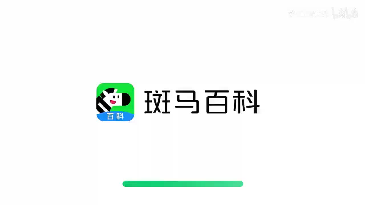 7.温带阔叶林动物1