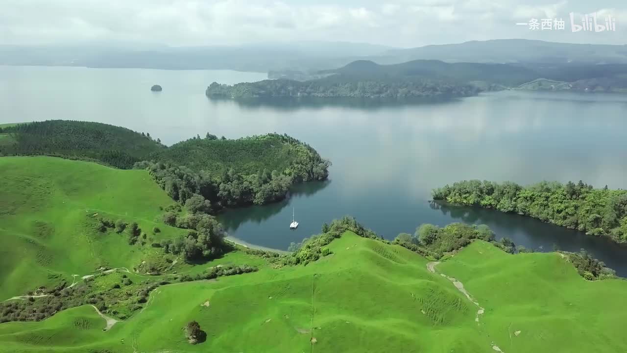 航拍绿色岛屿湖泊