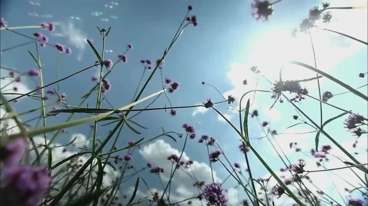 【第1集】有价星球