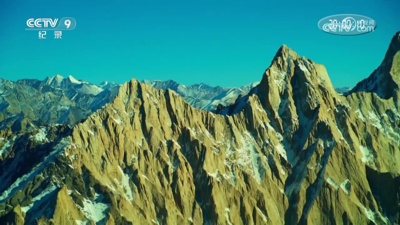 第4集 狂野大地