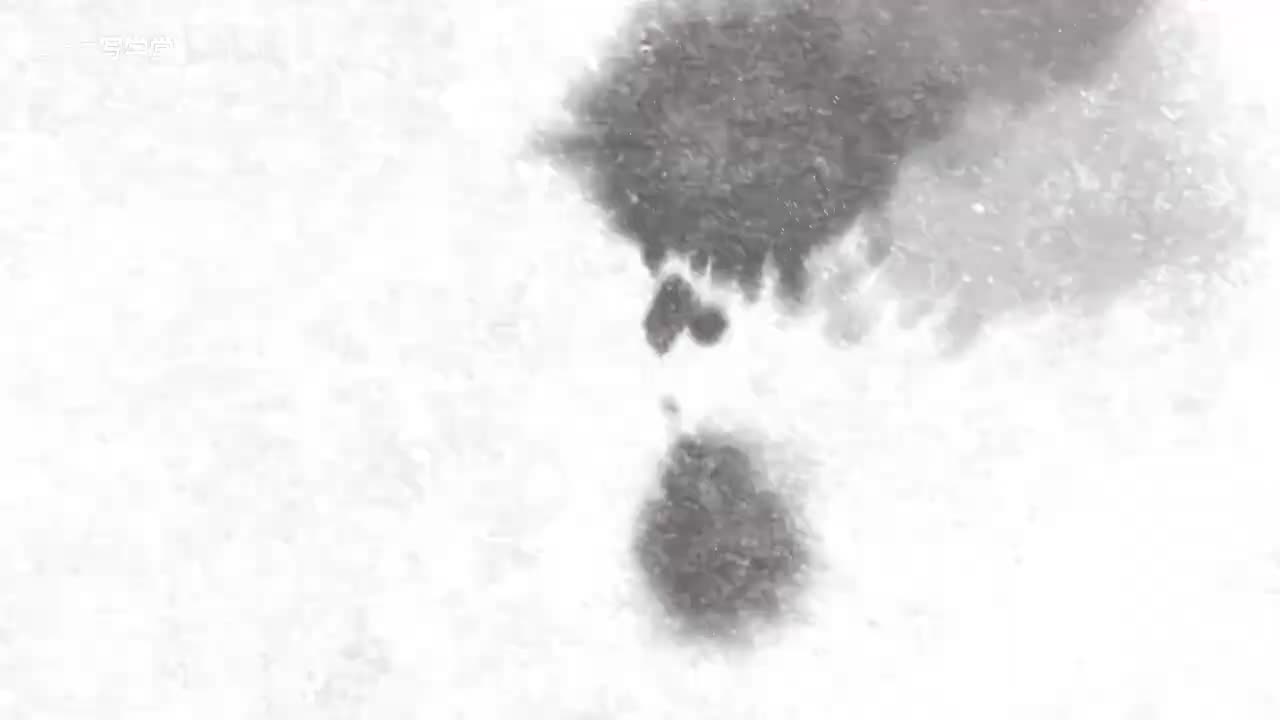 16-16.【三下同步作文】第一单元：我的植物朋友