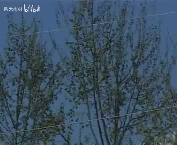 民间小调《过门三天打公公》10 李发东 薛小香 荆献鼎 荆桂勤 荆献顺 刘梅 荆丽君 曹四臣