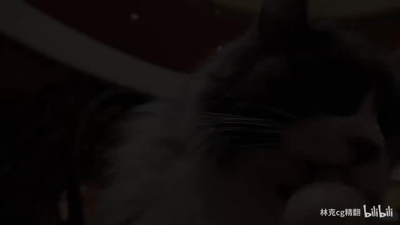 56 绘制猫与猫娘