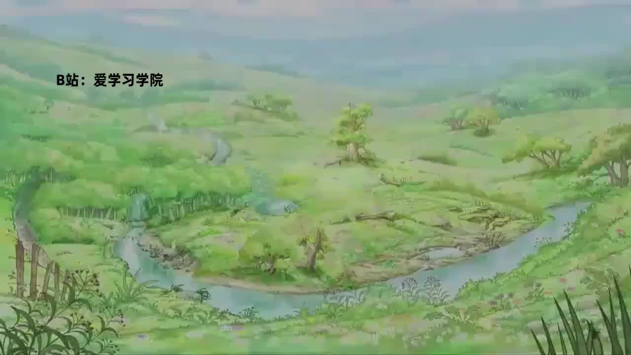 009 The Collection 小收藏