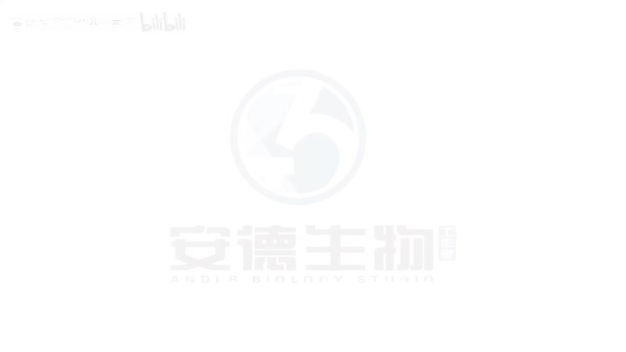 15.分离定律和配子法