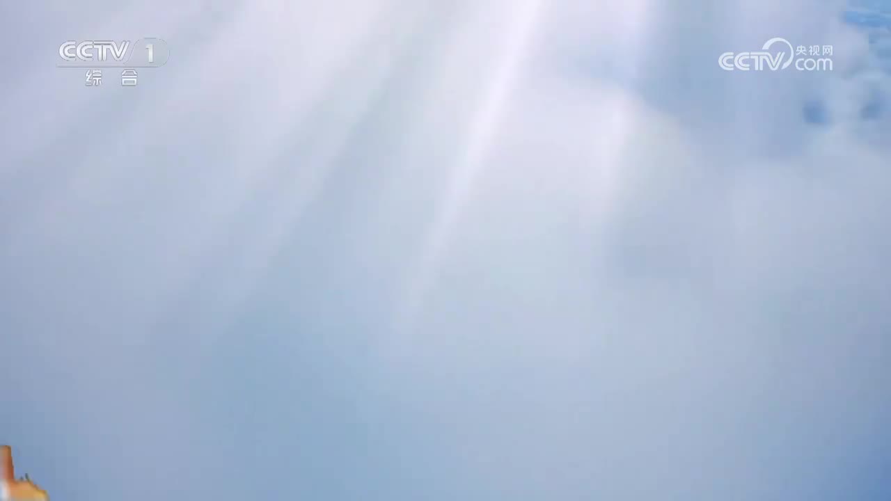 礼之源