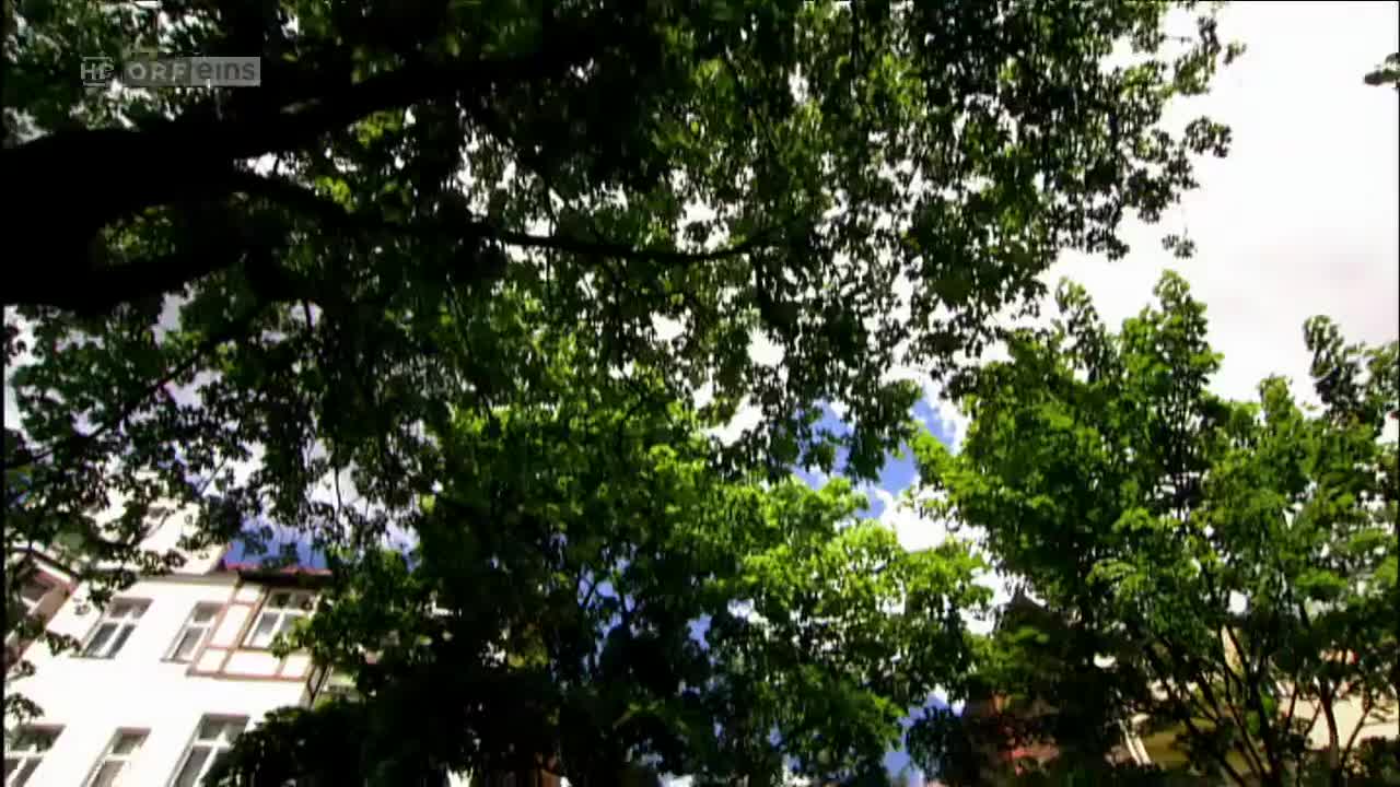 Türkisch für Anfänger (Season 2 Episode 12) Watch German TV series (German Subti