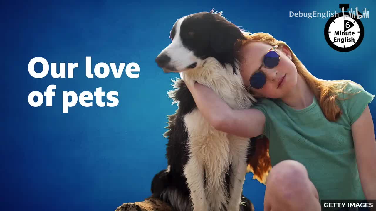 003.Our love of pets