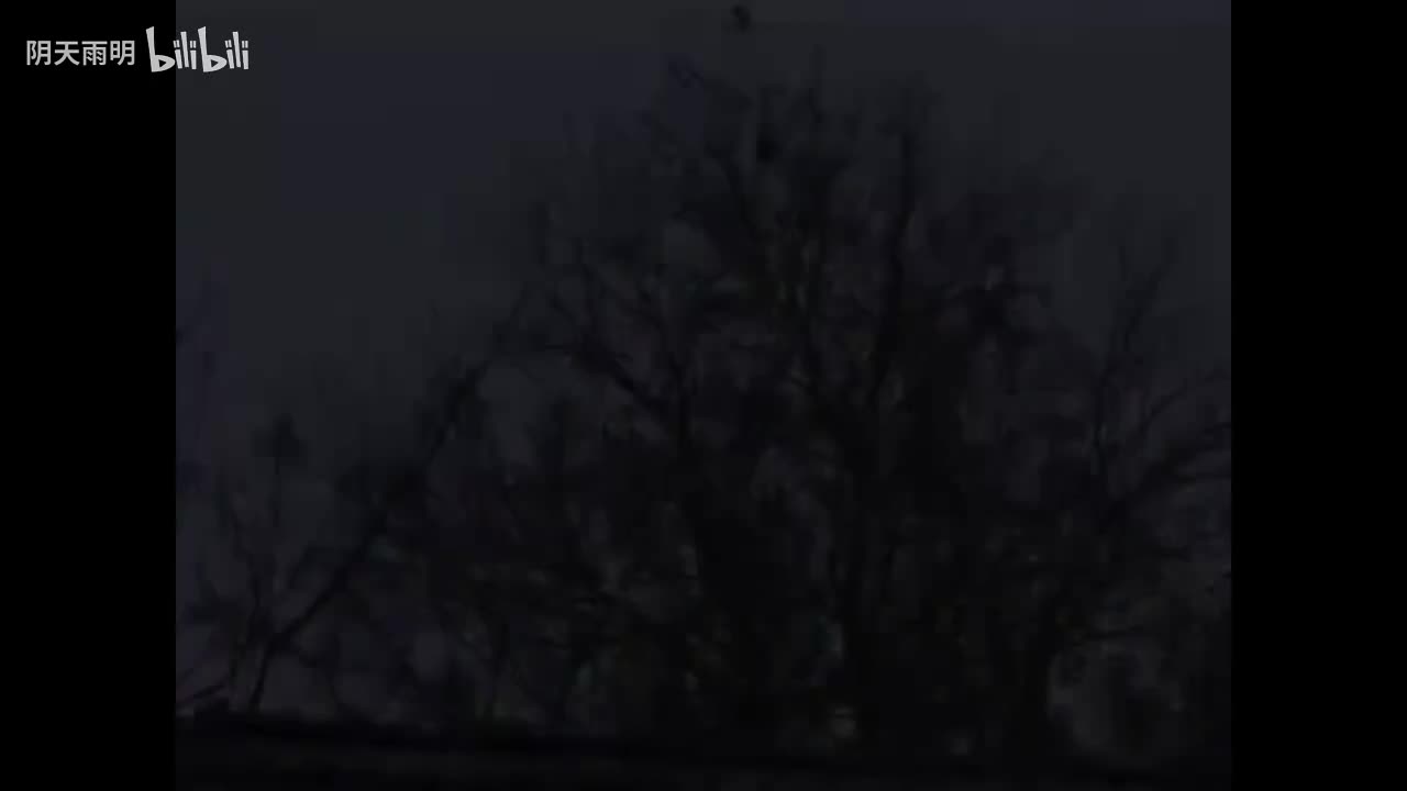 民间小调《小姨子跳楼》02 荆献顺 张影 刘素霞 薛小香 田明金 李发东 秦霞