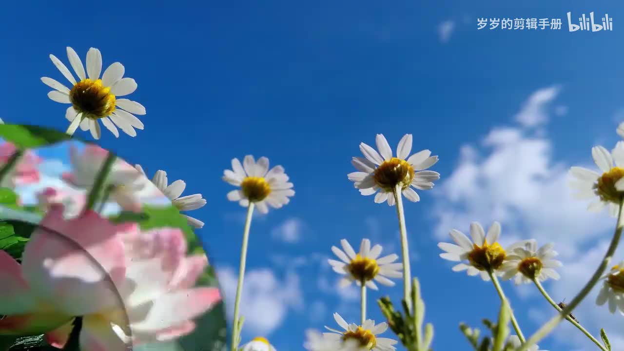 【26版软件】8.遮罩-水波转场