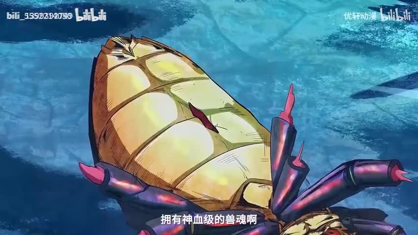 关注UP不迷路谢谢观看